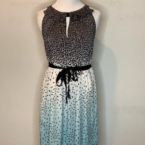 Diane Von Furstenberg DVF Armilla Print Silk Dress